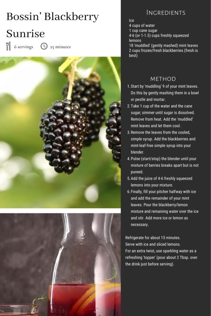 delicious-blackberry